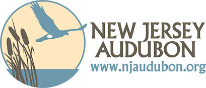 NJ Audubon